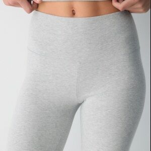 Aritzia Homestretch Smooth Leggings in Heather Chrome